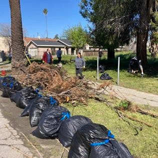 Students working a neighborhood cleanup with filled trash bags lined up