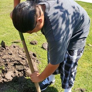 Student community service — student digging to plant a tree